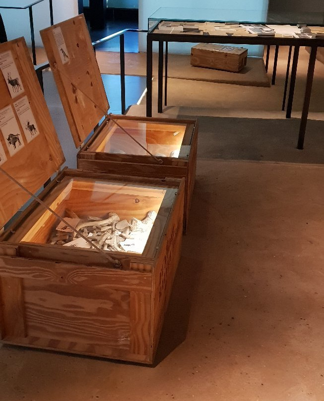 LWL-Museum für Archäologie Westfälisches Landesmuseum景点图片