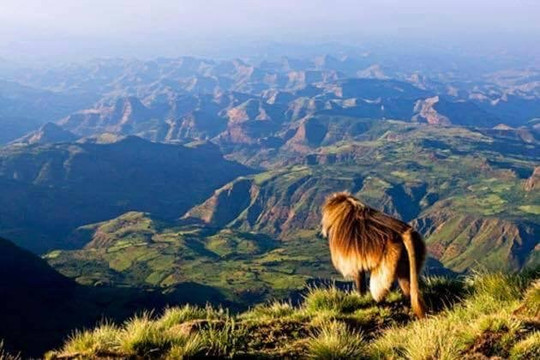 All Ethiopia Tours