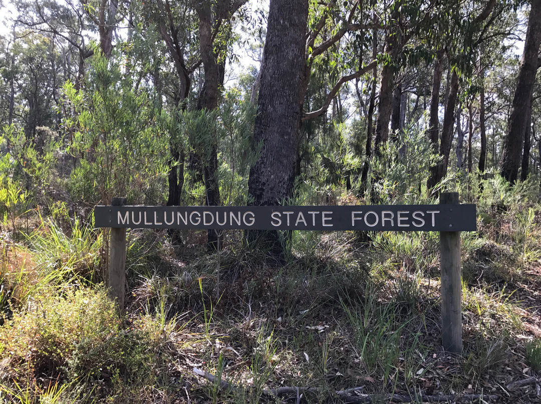 Mullungdung State Forest