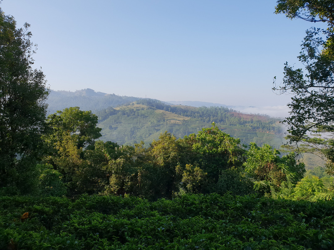 Upper Donside Planter's Bungalow主图