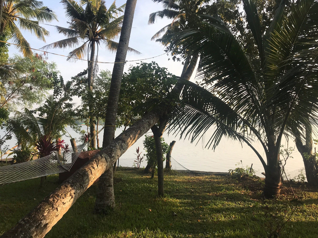 Ashtamudi Villas主图