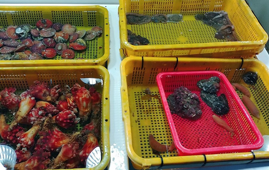 Sam Suhyup-泗川市必去景点