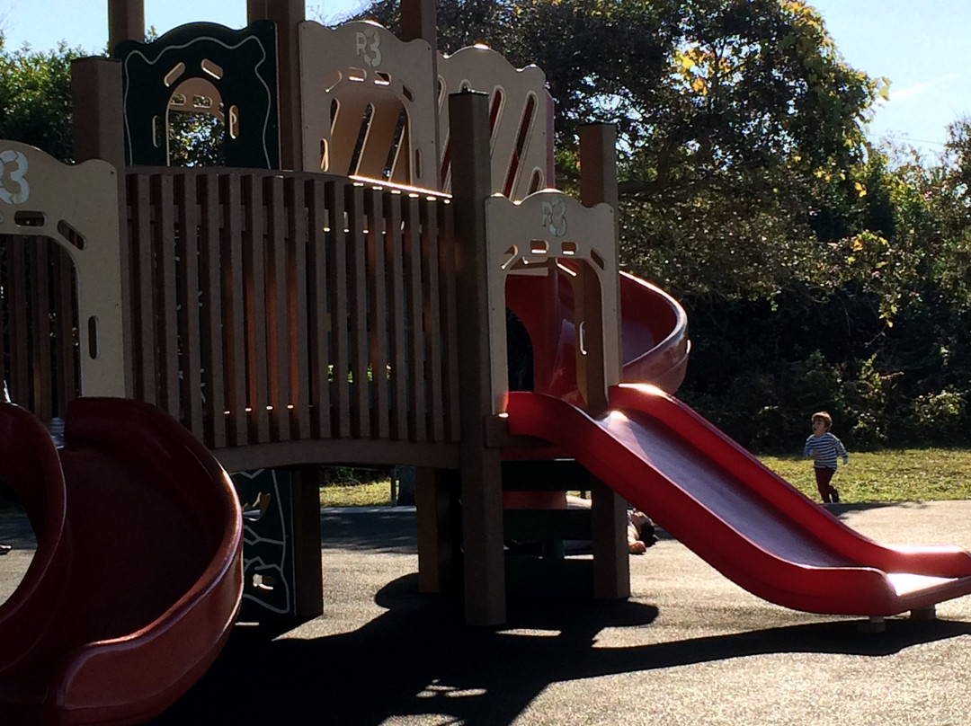 Michael Crotty Bicentennial Park-奥蒙德海滩必去景点