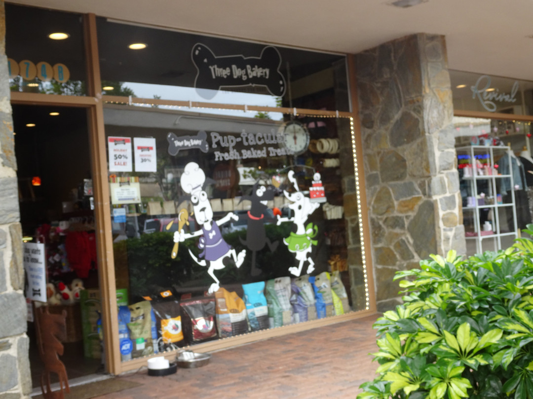 San Clemente Downtown District-圣克莱蒙顿必去景点