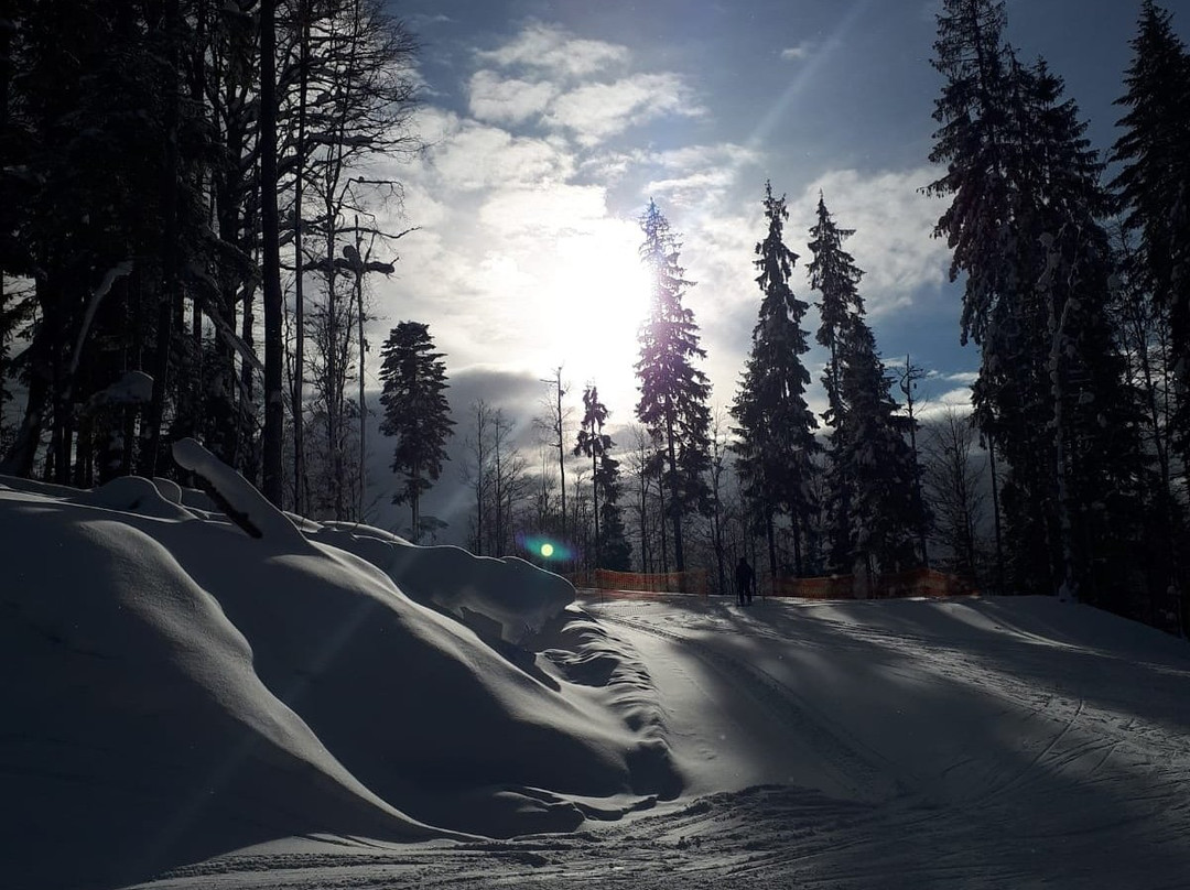 Bukovel Ski School-Polyanytsya必去景点