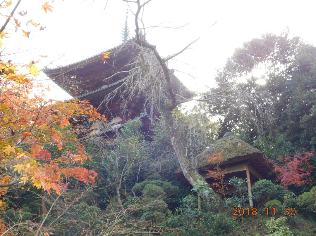 Taimadera Nakanobo景点图片