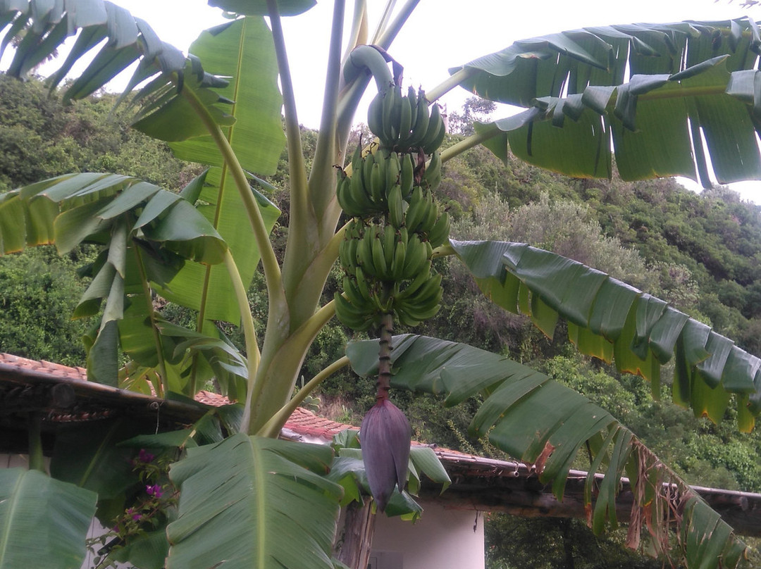 BV Kalafiorita Resort主图