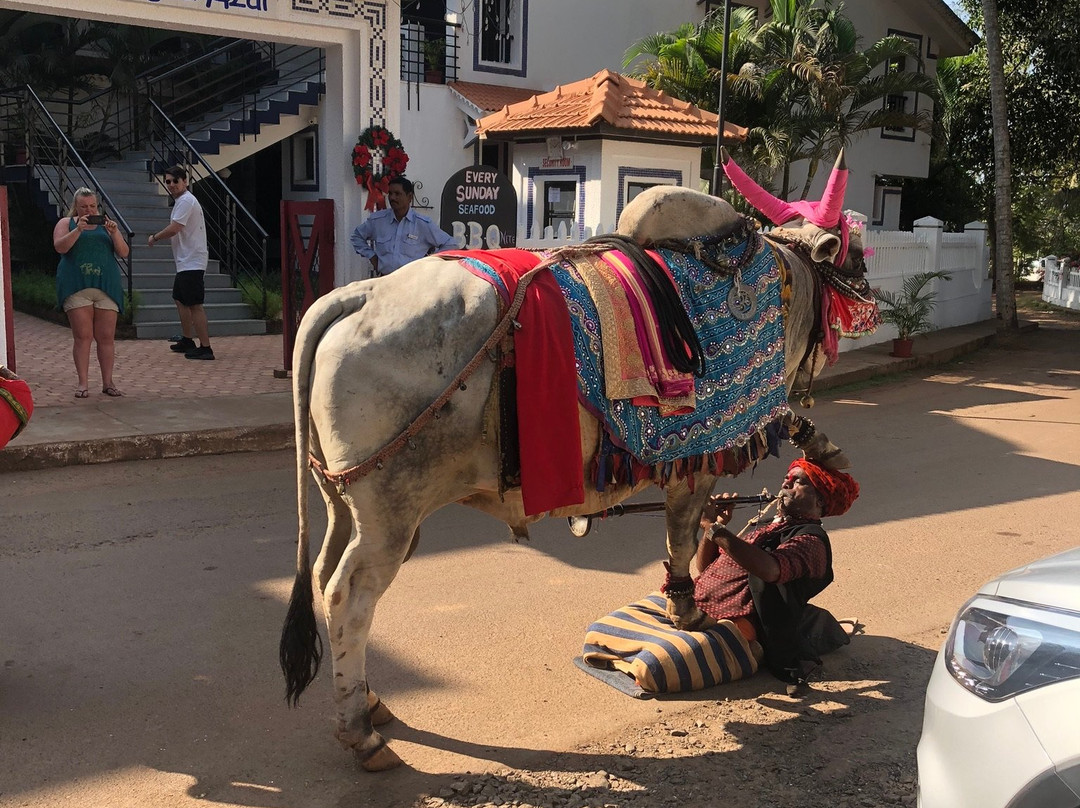 蓝色阿尔贡酒店主图