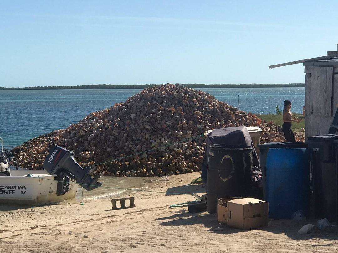 Bimini Road-Bimini必去景点