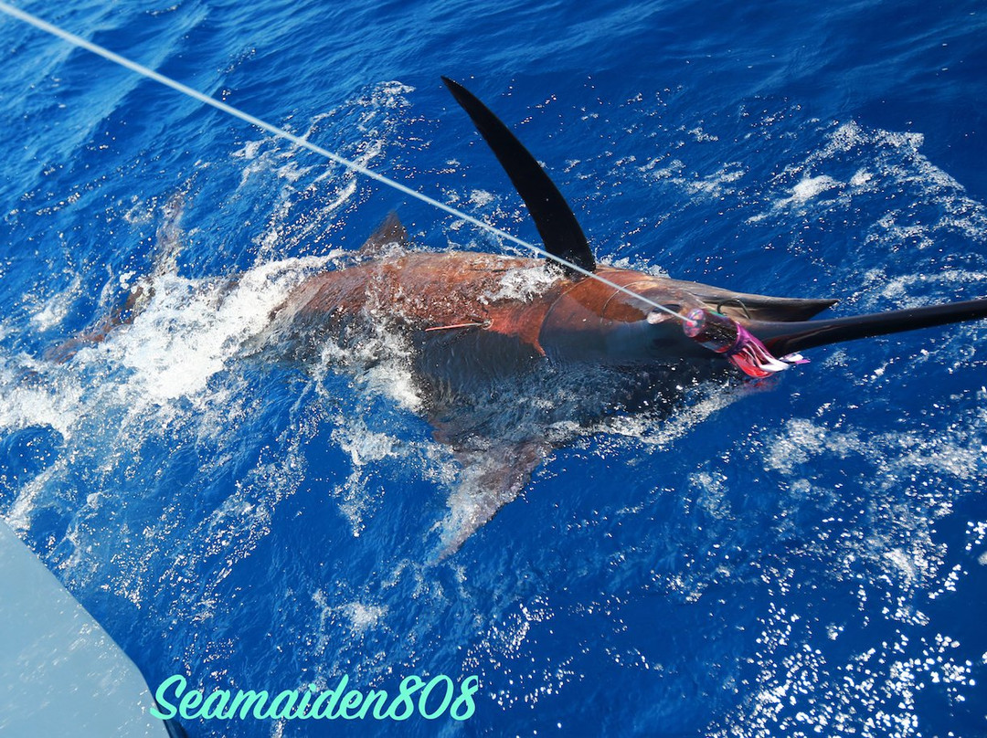 Hotshot Charters-Runaway Bay必去景点