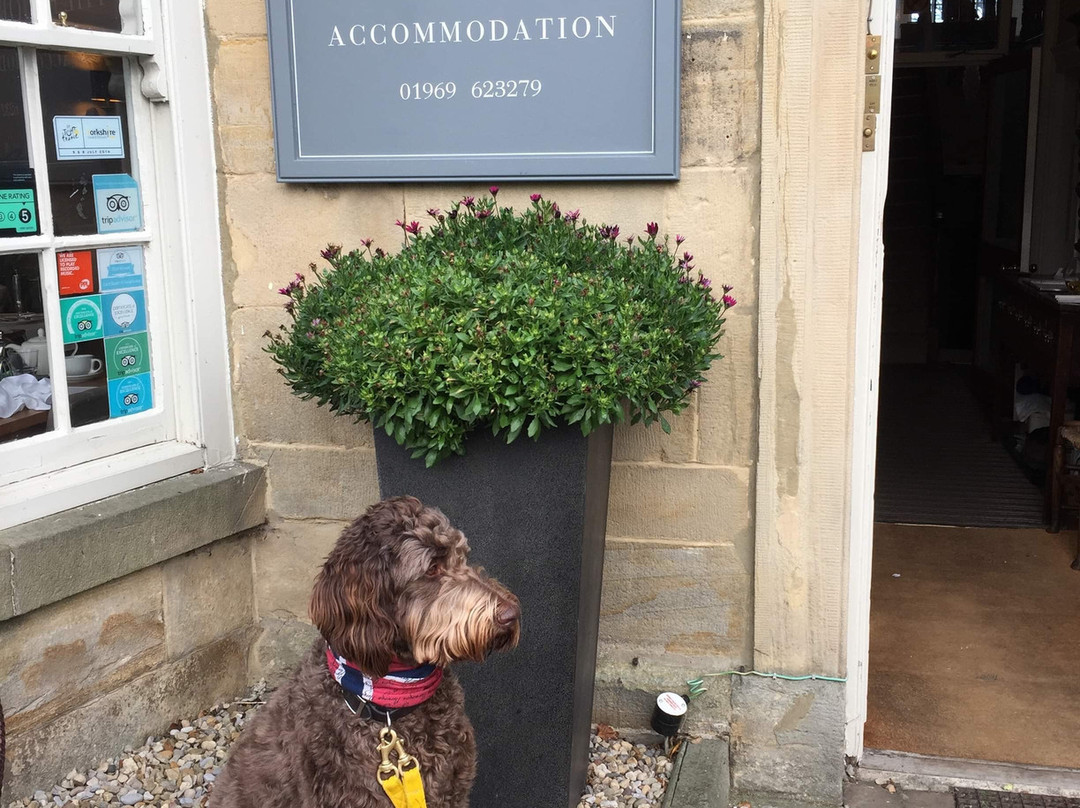 The Priory Guesthouse主图