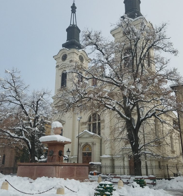 Orthodox Cathedral of St Nicholas景点图片