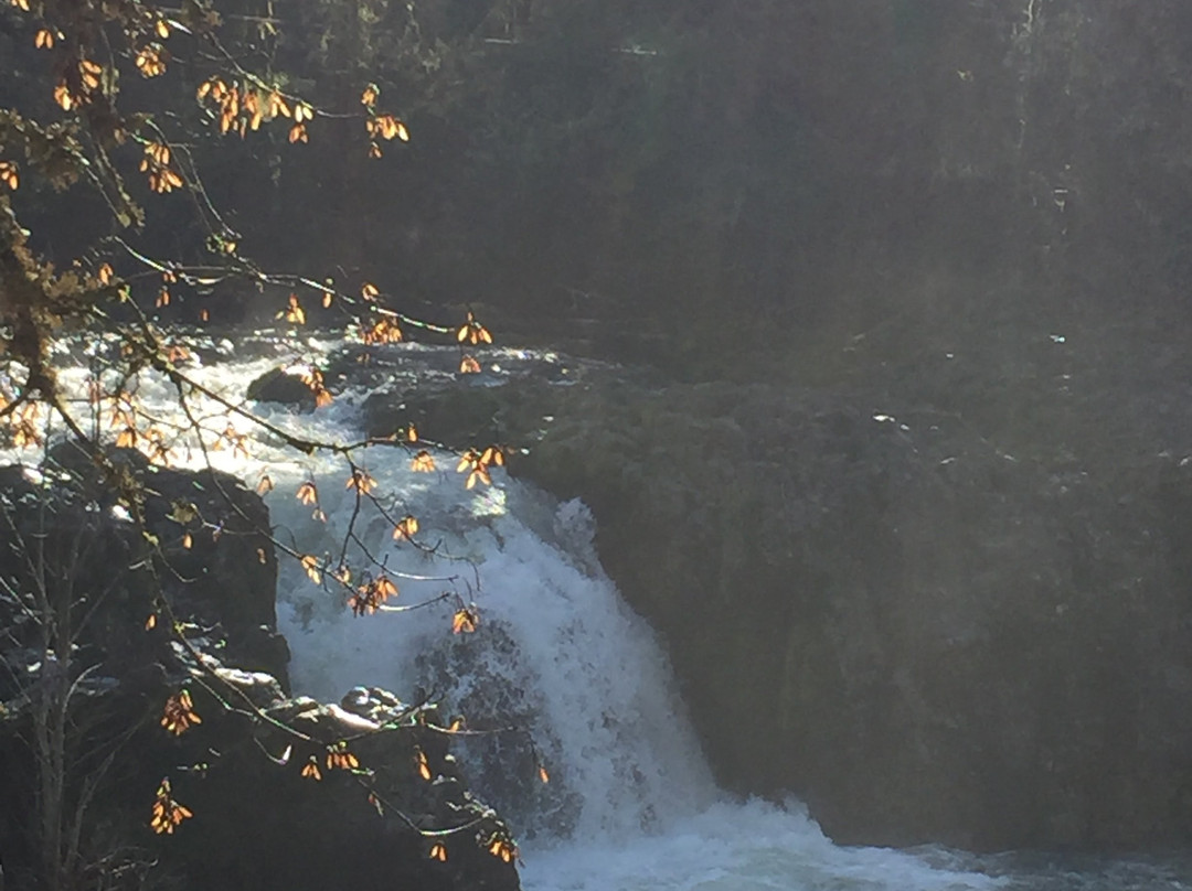 Wildwood Falls景点图片