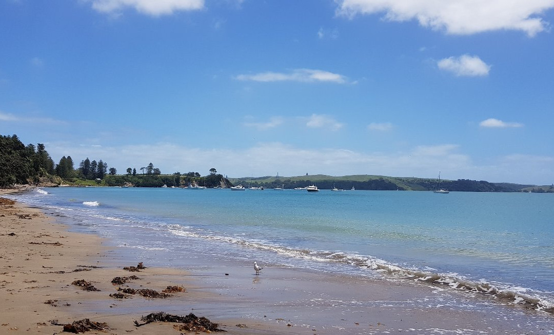 Motuihe Island-奥克兰必去景点