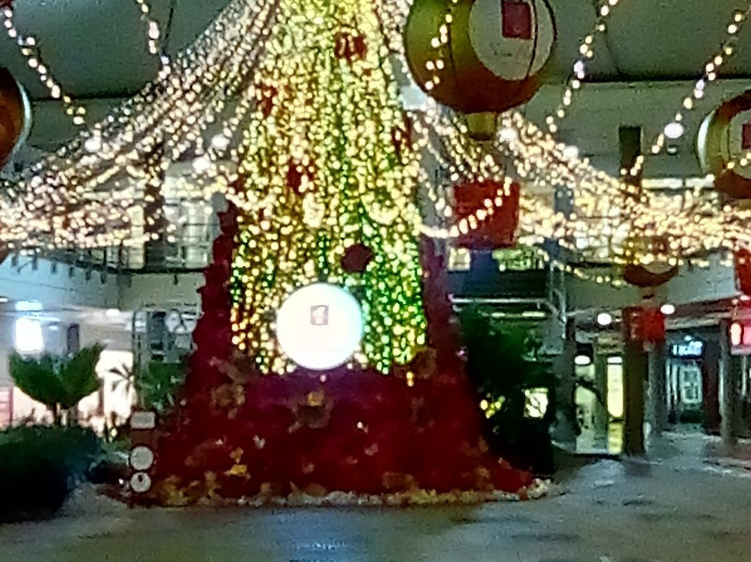 Centro Comercial Santa Lucia Plaza-内瓦必去景点