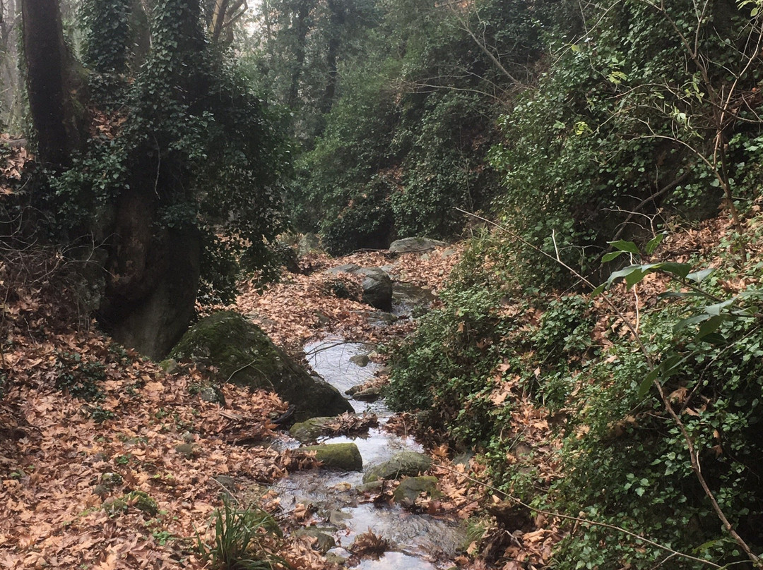 Spring of Manas-沃洛斯必去景点