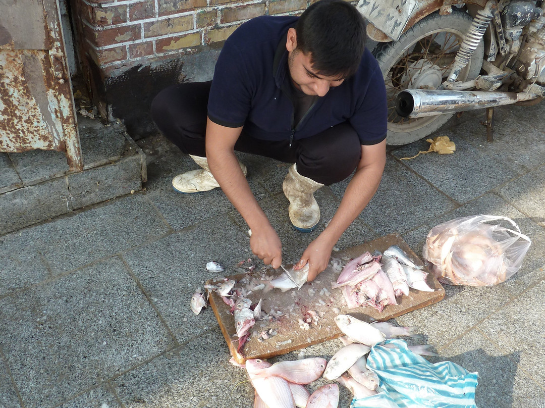 Fischmarkt und Fischereihafen Abadan-Abadan必去景点
