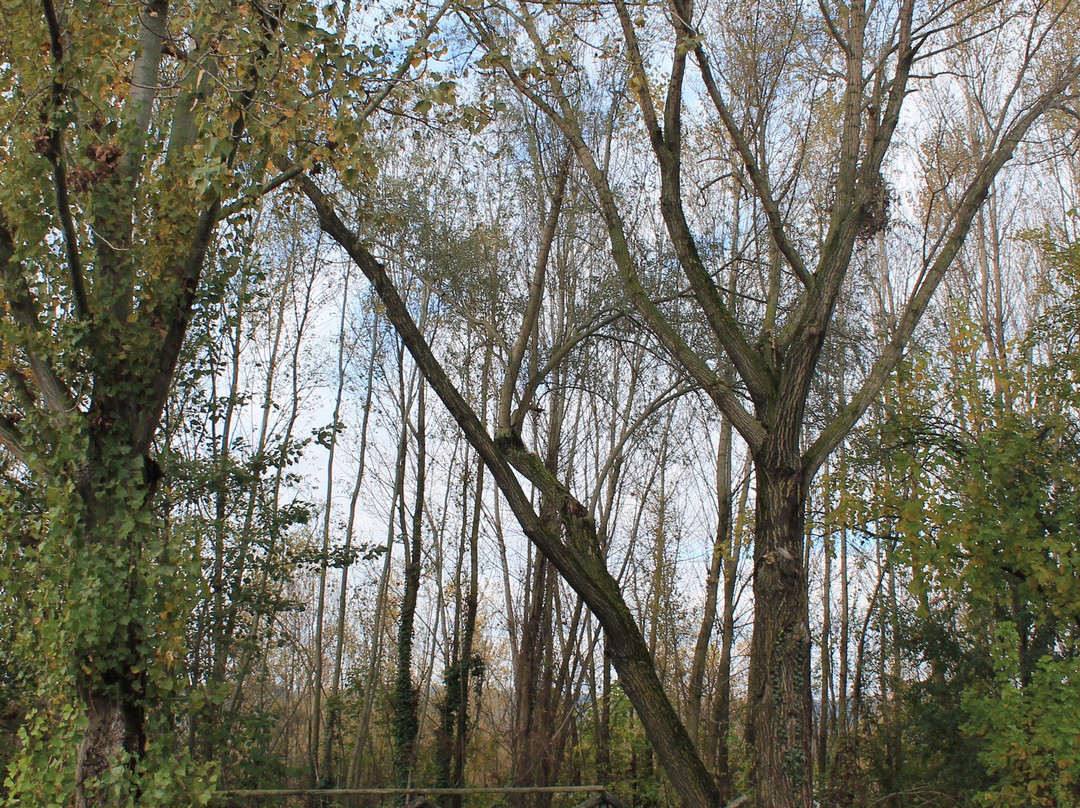 Parco Regionale Fluviale Del Trebbia景点图片