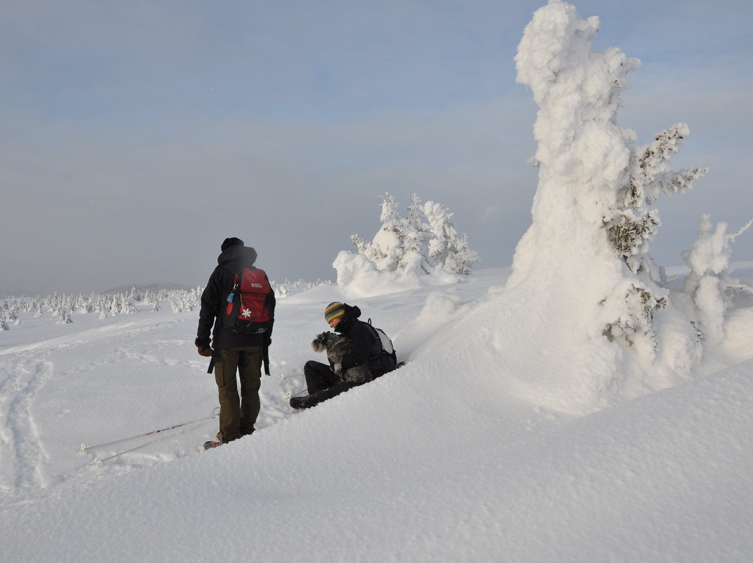 Aktiv I Natur Skiskole景点图片