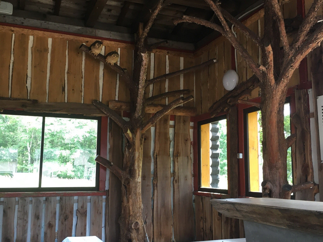 Kawayuonsen Station Footbath-弟子屈町必去景点