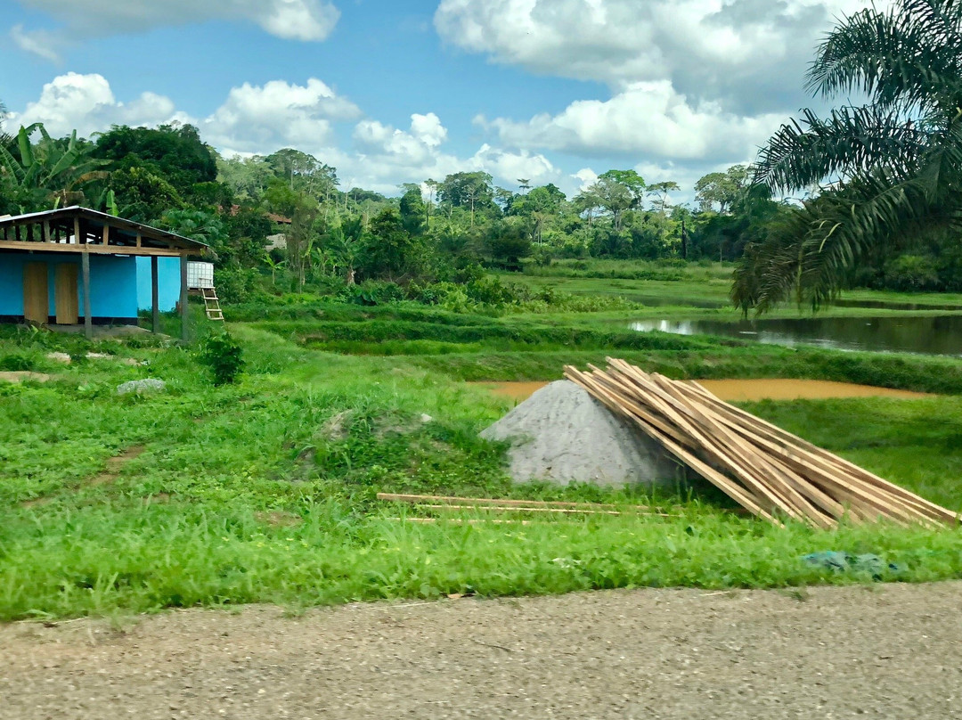 cathedrale de la paix, North 10, Yaundé, Camerún-雅温得必去景点