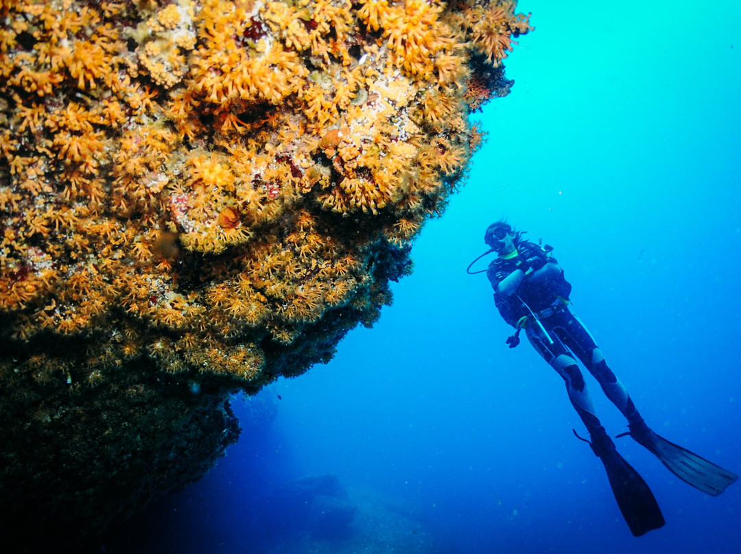 Ikaria Diving Hostel