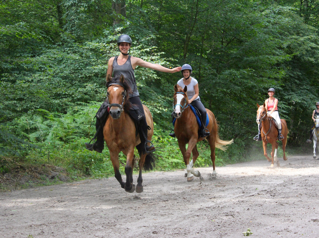 Écuries ALF-Chamant必去景点