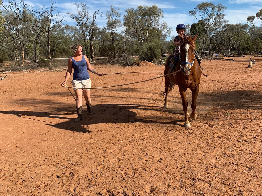 Gray's Holler Horse Riding-Lightning Ridge必去景点