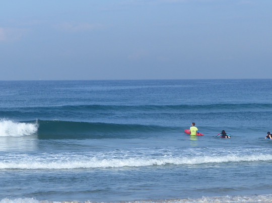 Chilli surf school-特拉维夫必去景点