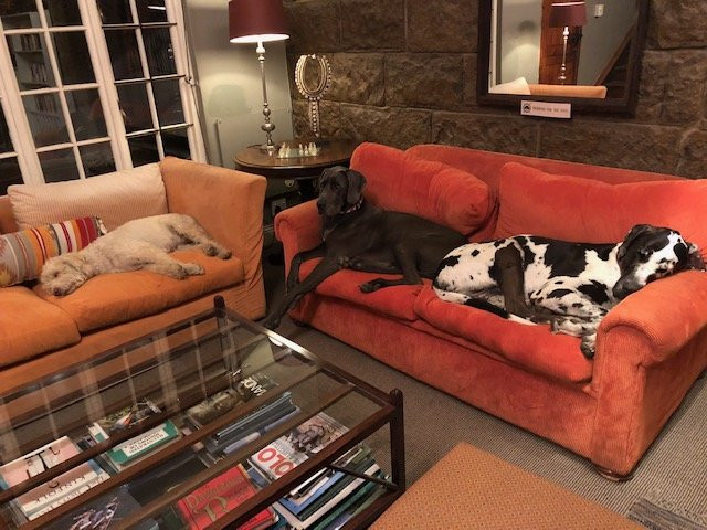 Oaklands Farm Stay主图