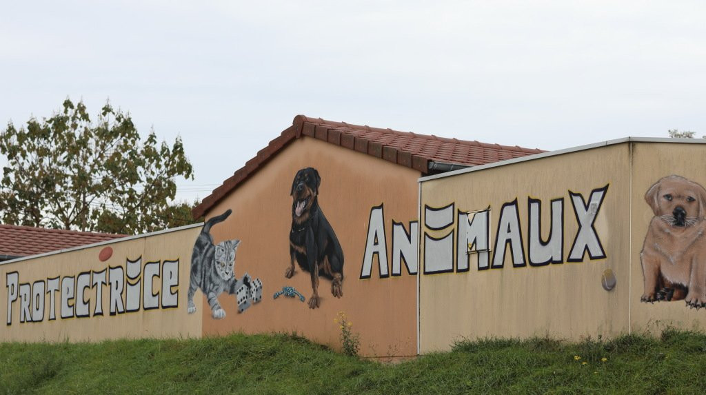 Fresque  Societe Protectrice Des Animaux-Chatenoy-le-Royal必去景点