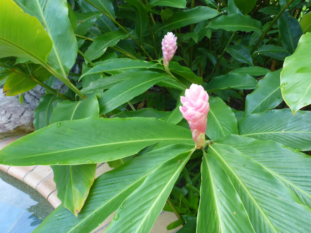 Galvin's Edge Hill Bed and Breakfast主图