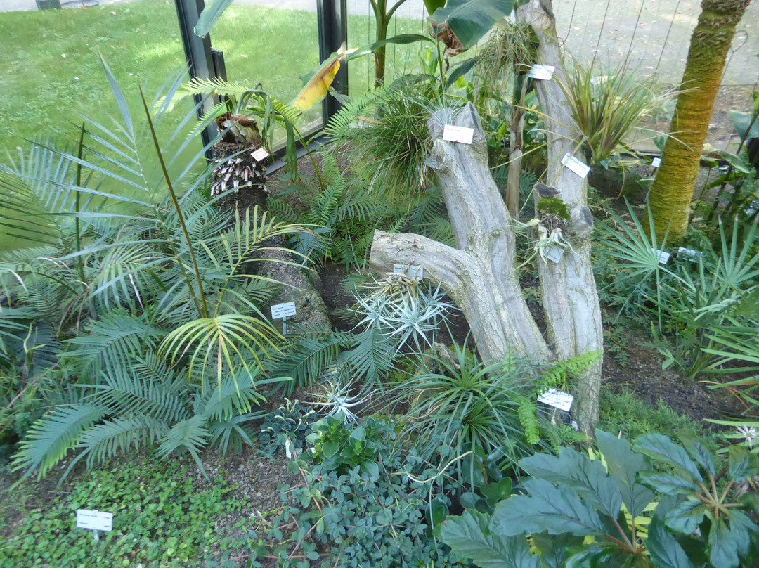 Botanischer Garten-Grüningen必去景点