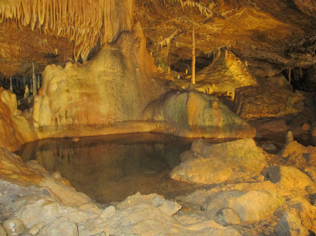 Grottes de Hotton景点图片