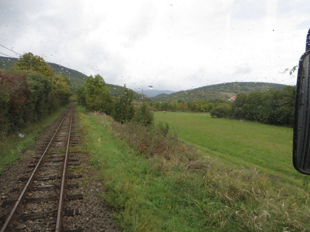 Kiralyret Forest Train景点图片