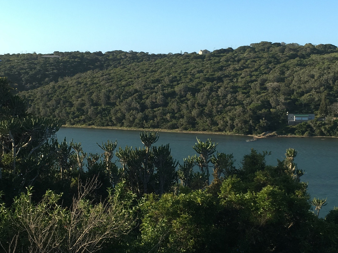 Makarios on the River主图