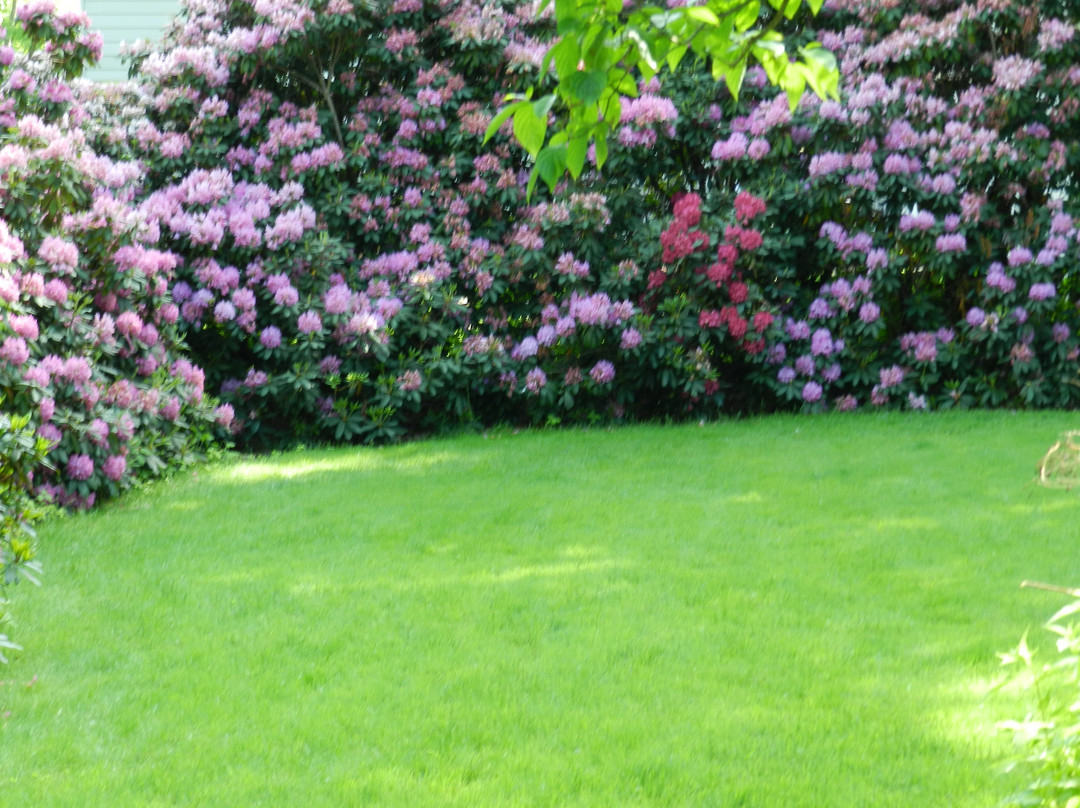 Carson's Bed & Breakfast and Salon主图