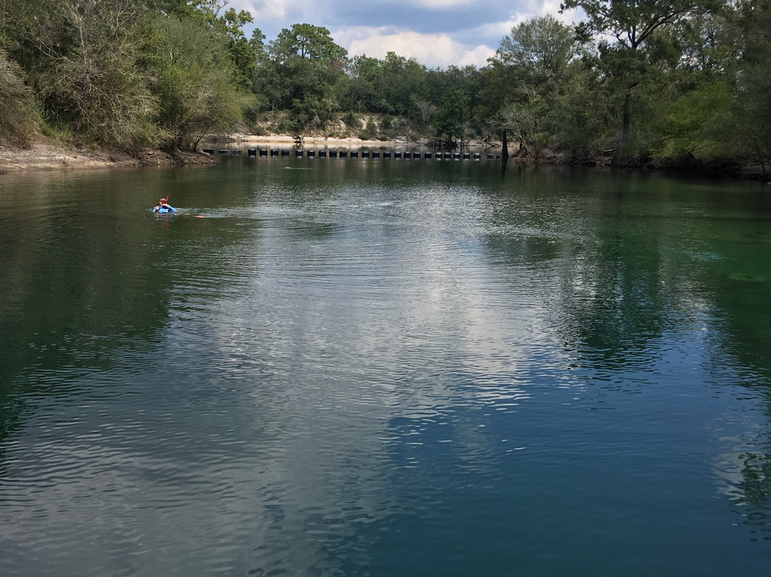 Troy Spring State Park景点图片