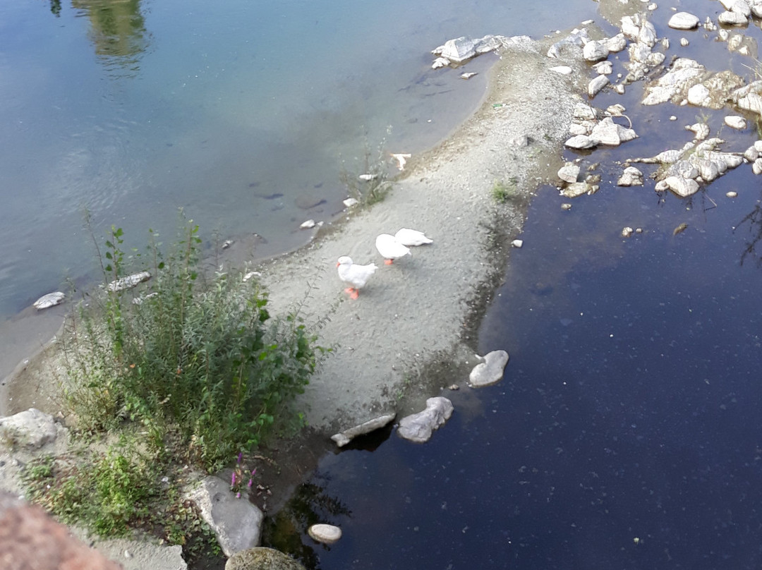 Ponte Medievale di San Michele (Ponte di Adalasia)-Campo Ligure必去景点