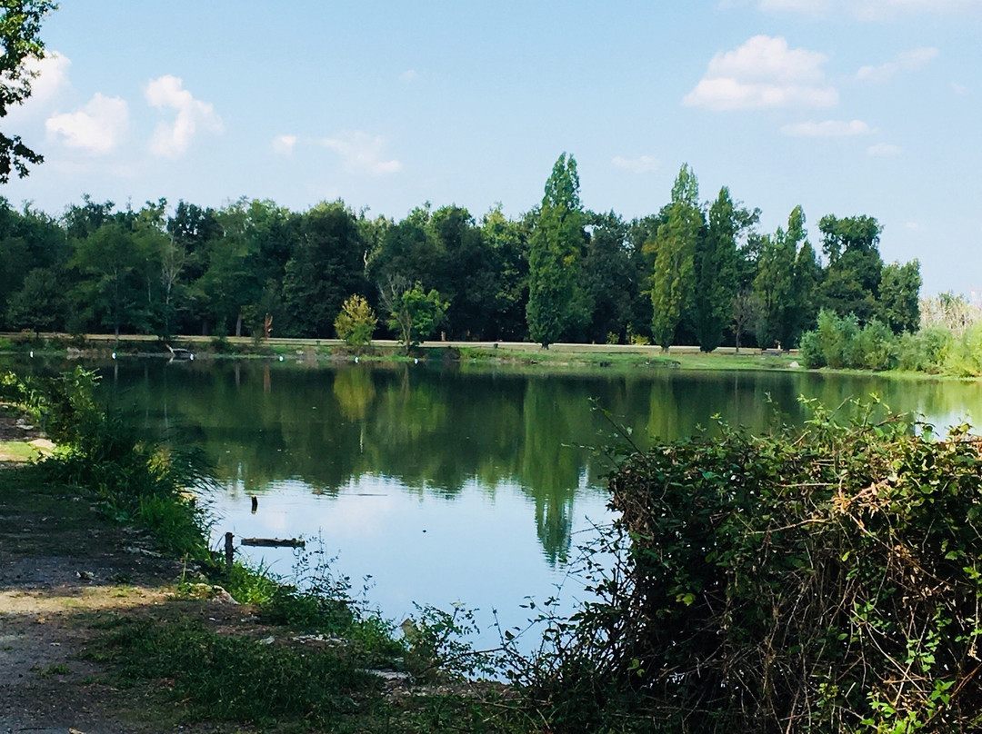 Parc de Cantefrene景点图片