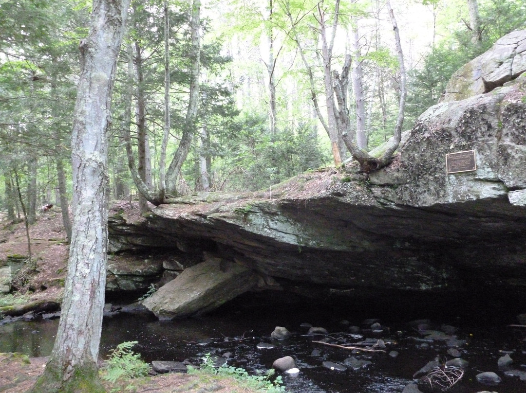 Mowry Conservation Area-Smithfield必去景点