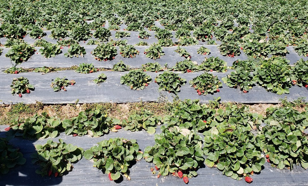 Sítio Herança Agroturismo-多明戈斯-马丁斯必去景点