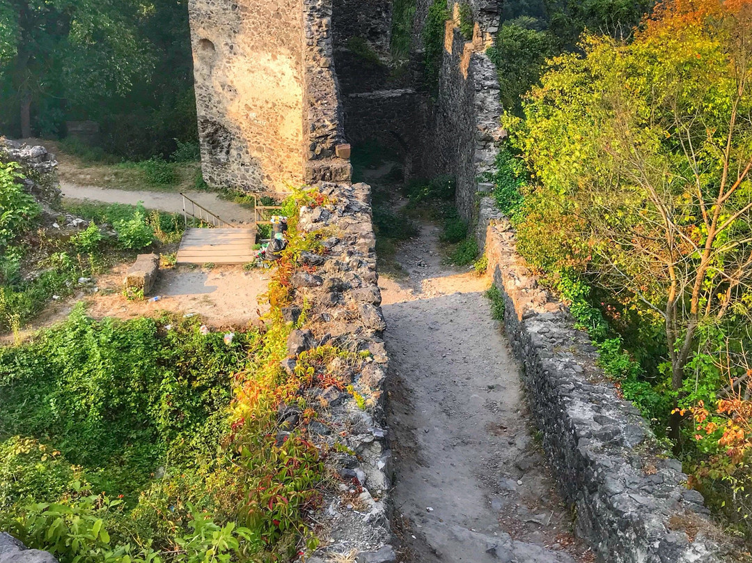 Nevytske旅游攻略图片