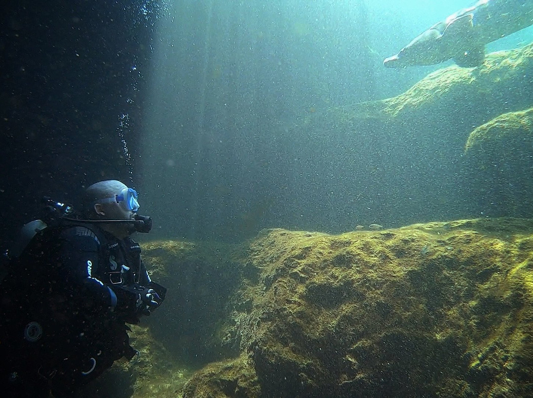 Adventure Dive Center-奥尔巴尼必去景点