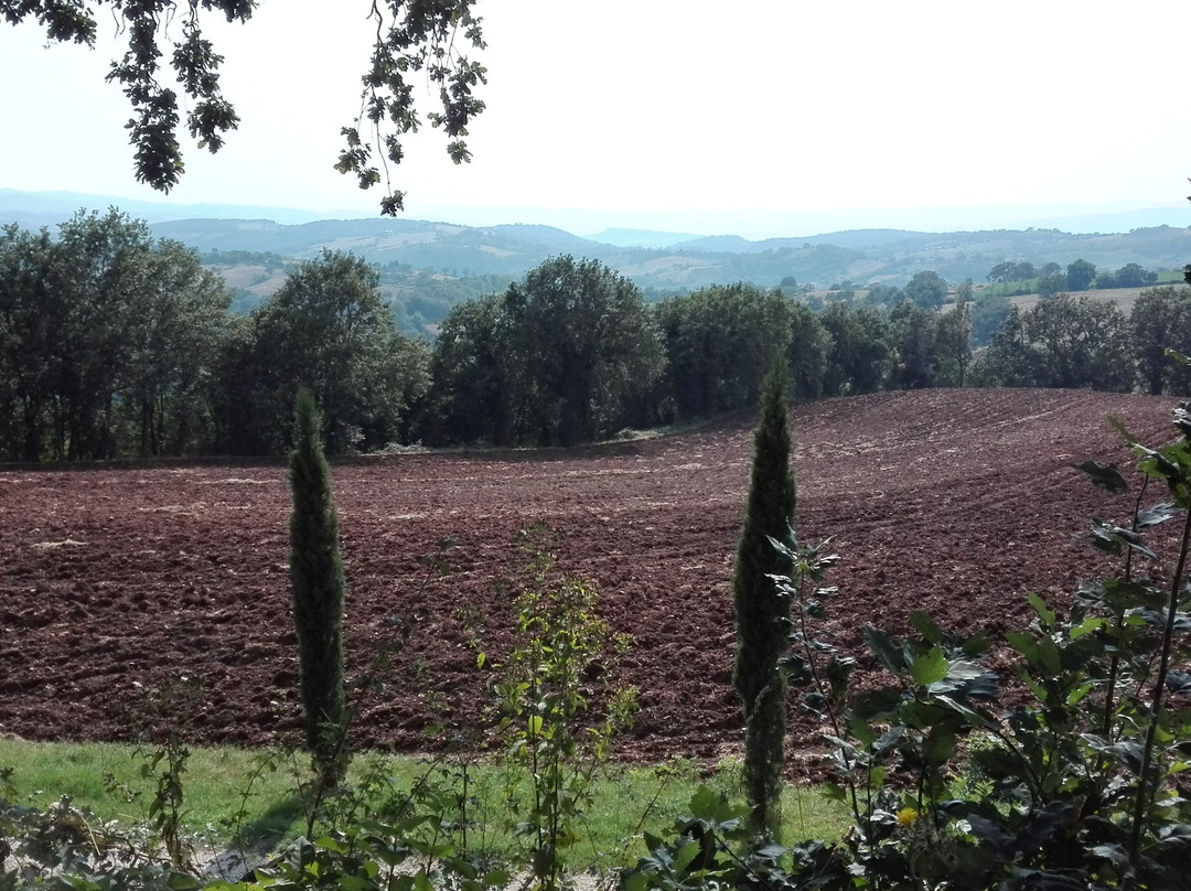 Agriturismo Il Castello di Catabbiaccio主图