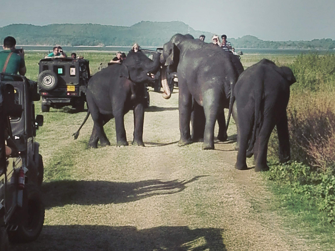 Candila Hotel & Sports Club主图