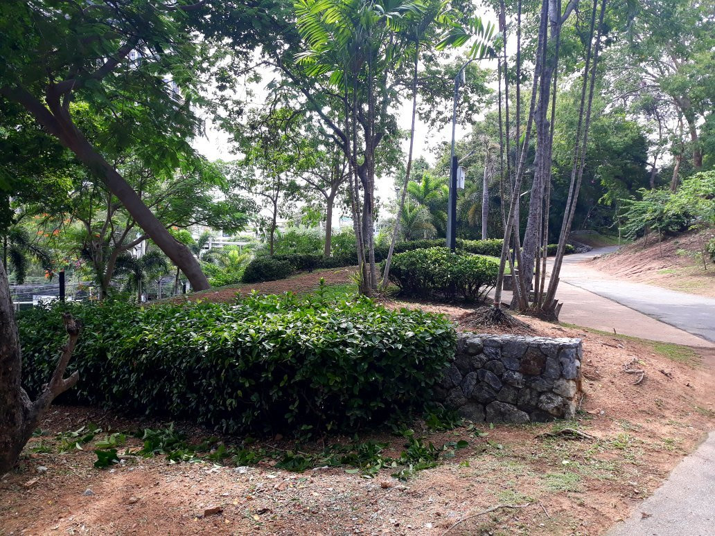 Queen Sirikit Park-孟腊茫必去景点