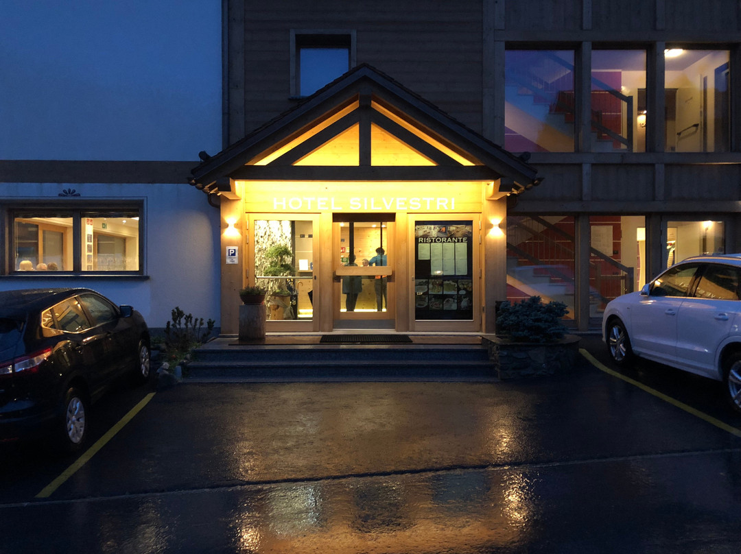 Hotel Silvestri主图
