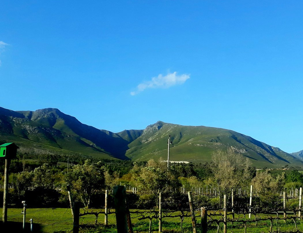 Misty Mountains Wine Estate