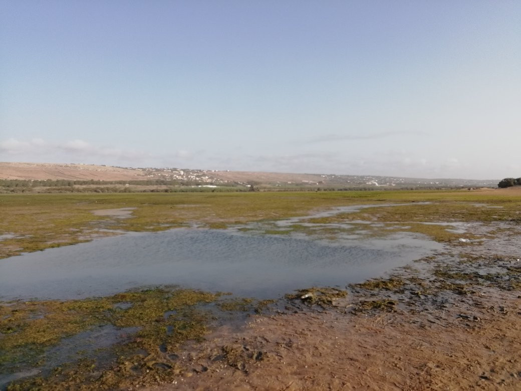 Sidi Bennour旅游攻略图片